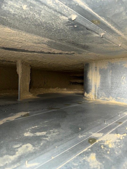 Reinigen kanalen dierenverblijf45 Project reinigen kanalen dierenverblijf - total air care